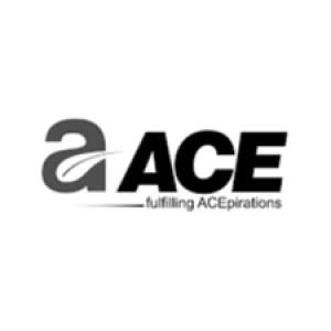 Ace Group Builder - Luxury Apartments Near me